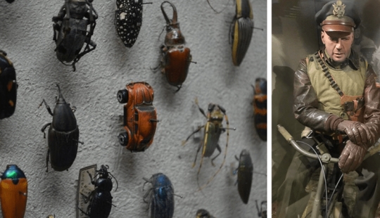 35 unusual museums around the world and their exhibits