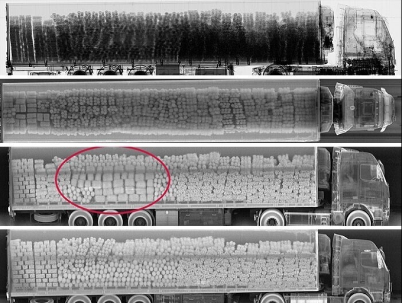 35 x-ray images that reveal the world from an unexpected quarter 35 x-ray images that reveal the world from an unexpected quarter