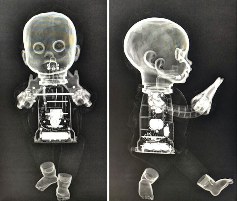 35 x-ray images that reveal the world from an unexpected quarter 35 x-ray images that reveal the world from an unexpected quarter