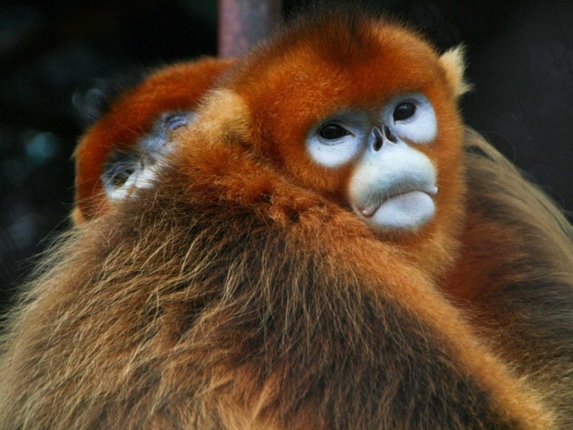 38 atracciones para visitar en China 38 atracciones para visitar en China