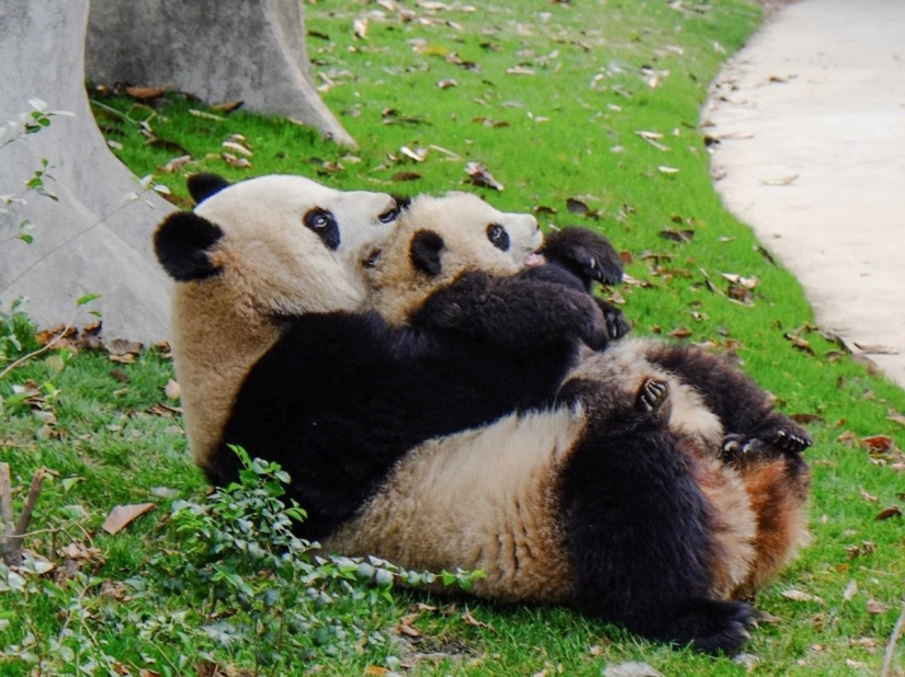 38 attractions to visit in China 38 attractions to visit in China