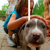 3D glasses are not needed: gifs ready to jump out of the screen