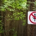 4 ban that cannot be broken Japanese women 4 ban that cannot be broken Japanese women