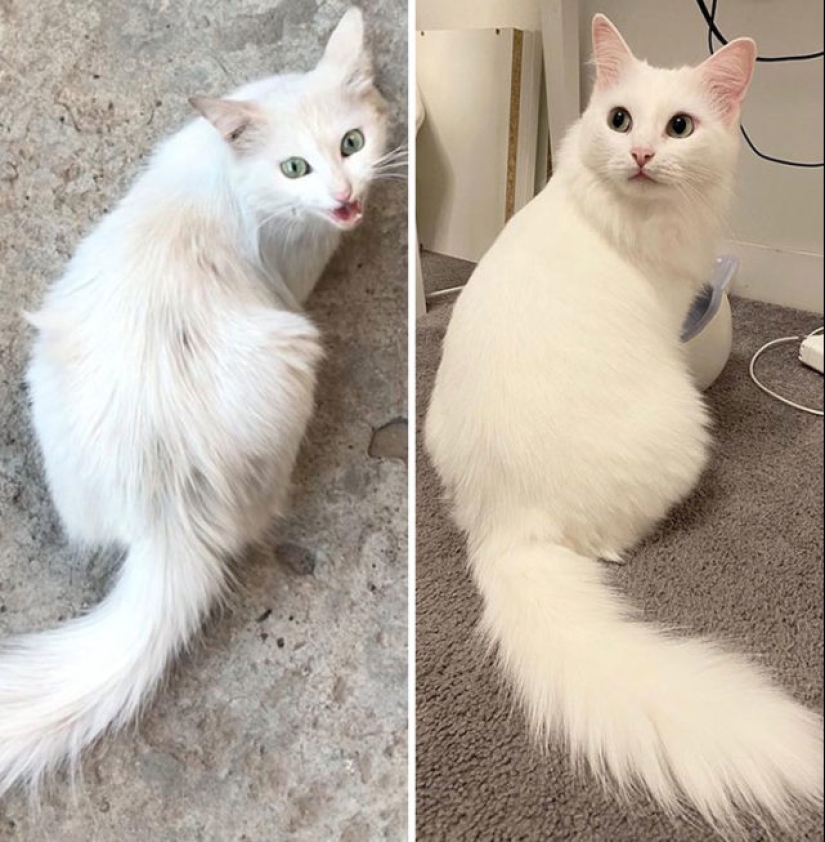 40 amazing comparisons: look anew at familiar 40 amazing comparisons: look anew at familiar