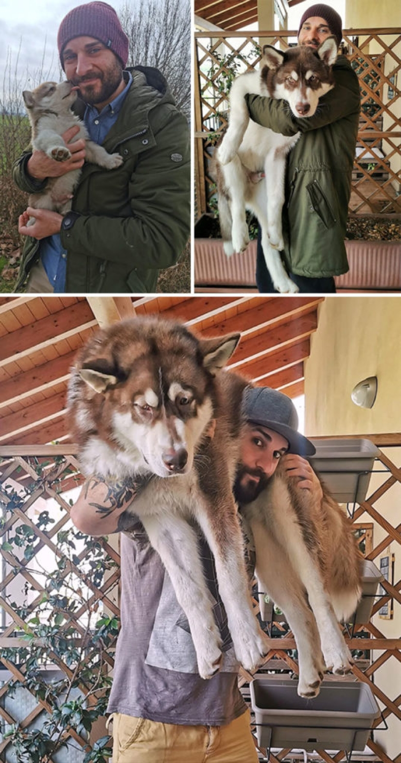 40 amazing comparisons: look anew at familiar 40 amazing comparisons: look anew at familiar