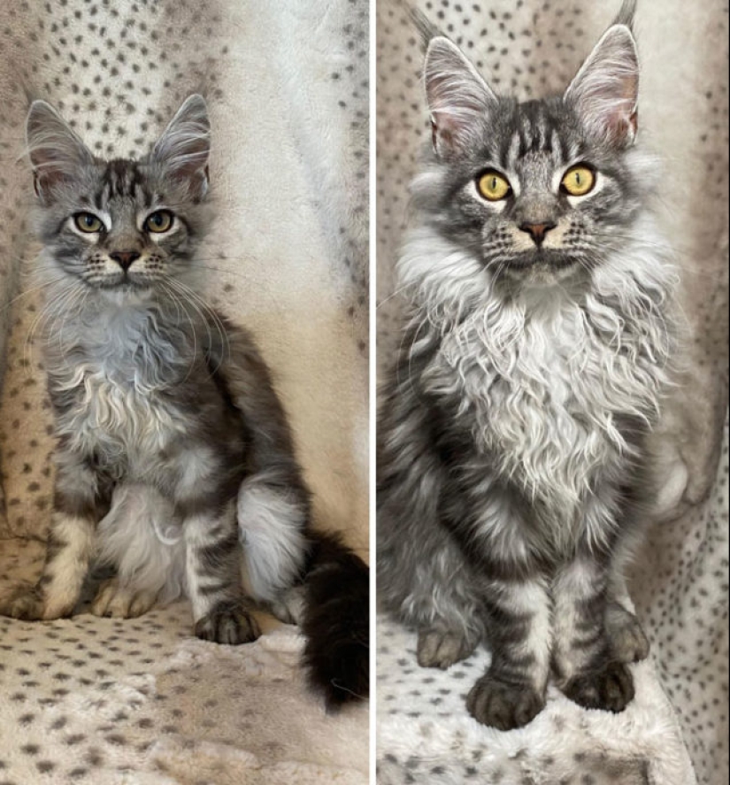 40 amazing comparisons: look anew at familiar 40 amazing comparisons: look anew at familiar