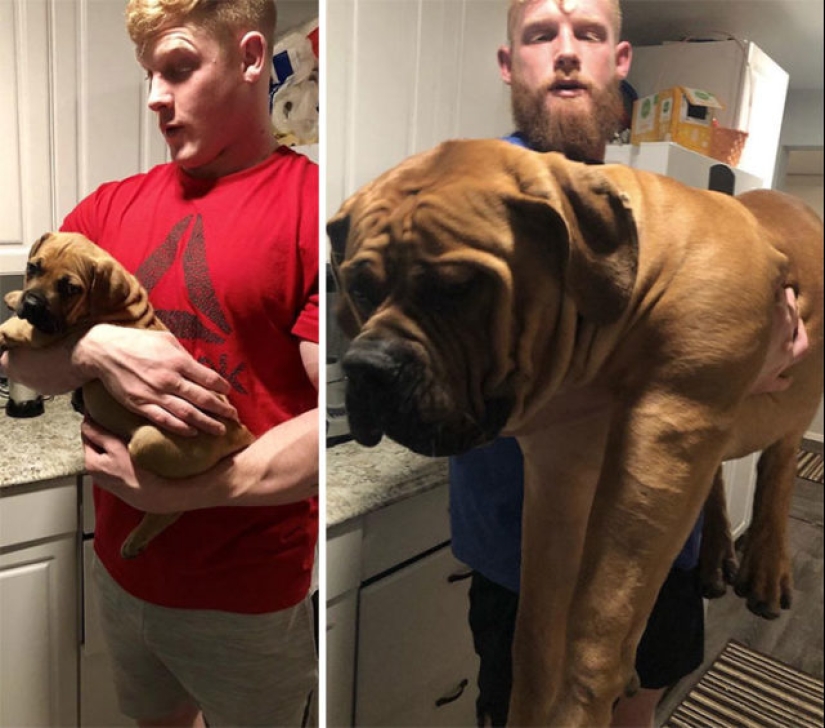 40 amazing comparisons: look anew at familiar 40 amazing comparisons: look anew at familiar