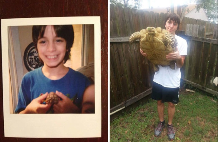 40 amazing comparisons: look anew at familiar 40 amazing comparisons: look anew at familiar