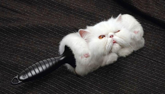 40 creativo de publicidad impresiones