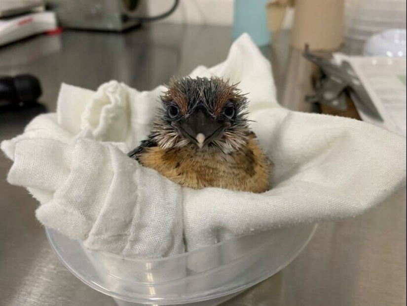 40 datos interesantes y sorprendentes de la comunidad de Reddit "Hoy me enteré"