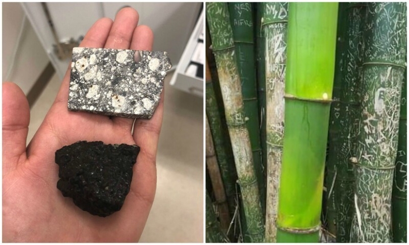 40 divertidas comparaciones fotográficas que abren una nueva visión del mundo 40 divertidas comparaciones fotográficas que abren una nueva visión del mundo