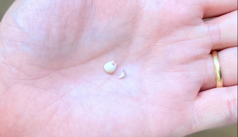 40 divertidas comparaciones fotográficas que abren una nueva visión del mundo 40 divertidas comparaciones fotográficas que abren una nueva visión del mundo