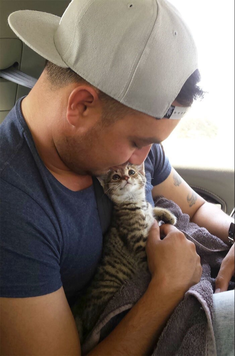 40 dogs and cats whose eyes glow with love and adoration 40 dogs and cats whose eyes glow with love and adoration