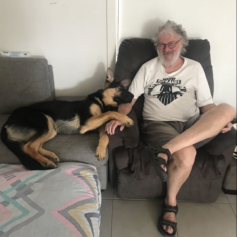 40 dogs and cats whose eyes glow with love and adoration 40 dogs and cats whose eyes glow with love and adoration
