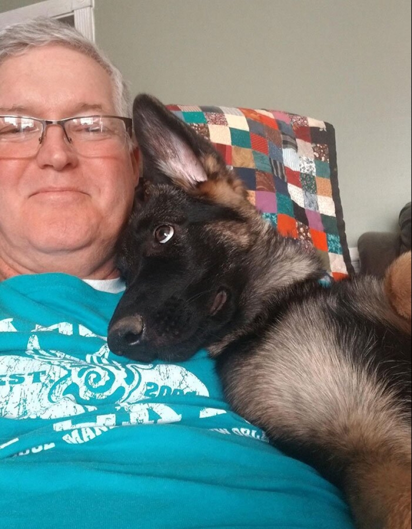 40 dogs and cats whose eyes glow with love and adoration 40 dogs and cats whose eyes glow with love and adoration