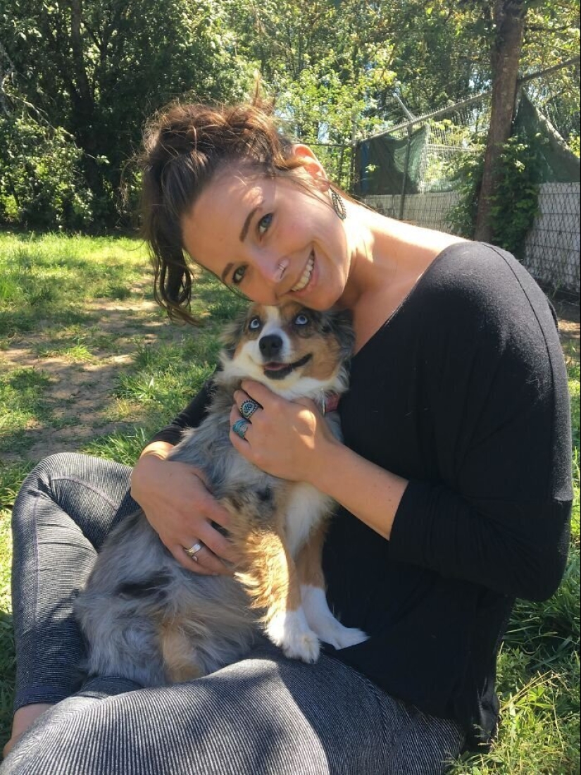 40 dogs and cats whose eyes glow with love and adoration 40 dogs and cats whose eyes glow with love and adoration