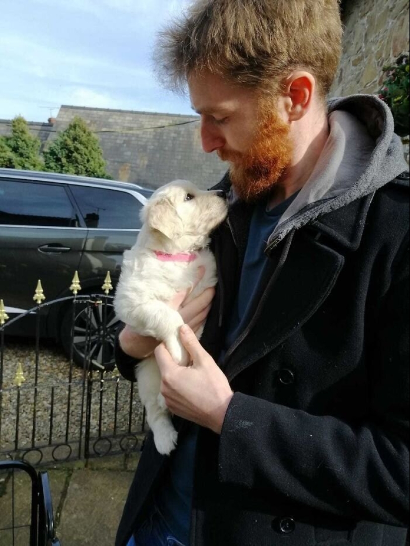 40 dogs and cats whose eyes glow with love and adoration 40 dogs and cats whose eyes glow with love and adoration
