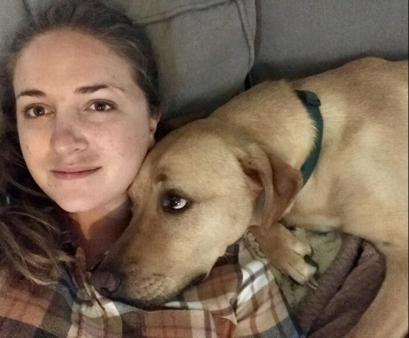 40 dogs and cats whose eyes glow with love and adoration 40 dogs and cats whose eyes glow with love and adoration