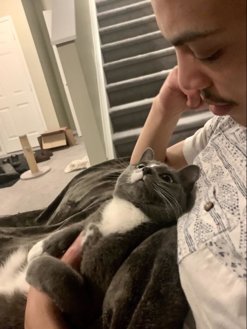 40 dogs and cats whose eyes glow with love and adoration 40 dogs and cats whose eyes glow with love and adoration