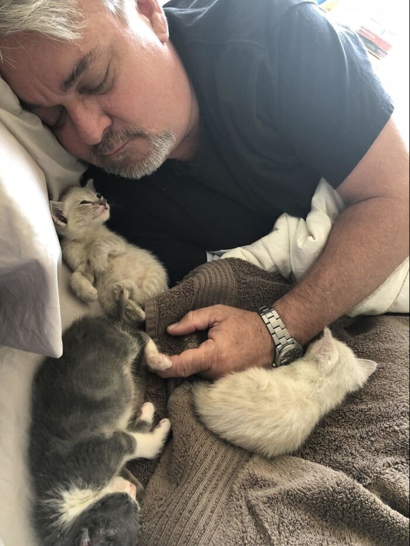 40 dogs and cats whose eyes glow with love and adoration 40 dogs and cats whose eyes glow with love and adoration