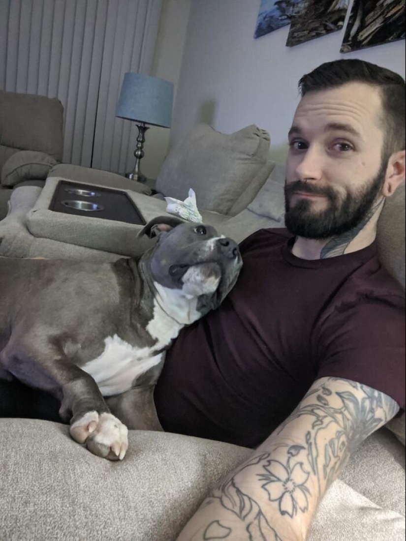 40 dogs and cats whose eyes glow with love and adoration 40 dogs and cats whose eyes glow with love and adoration