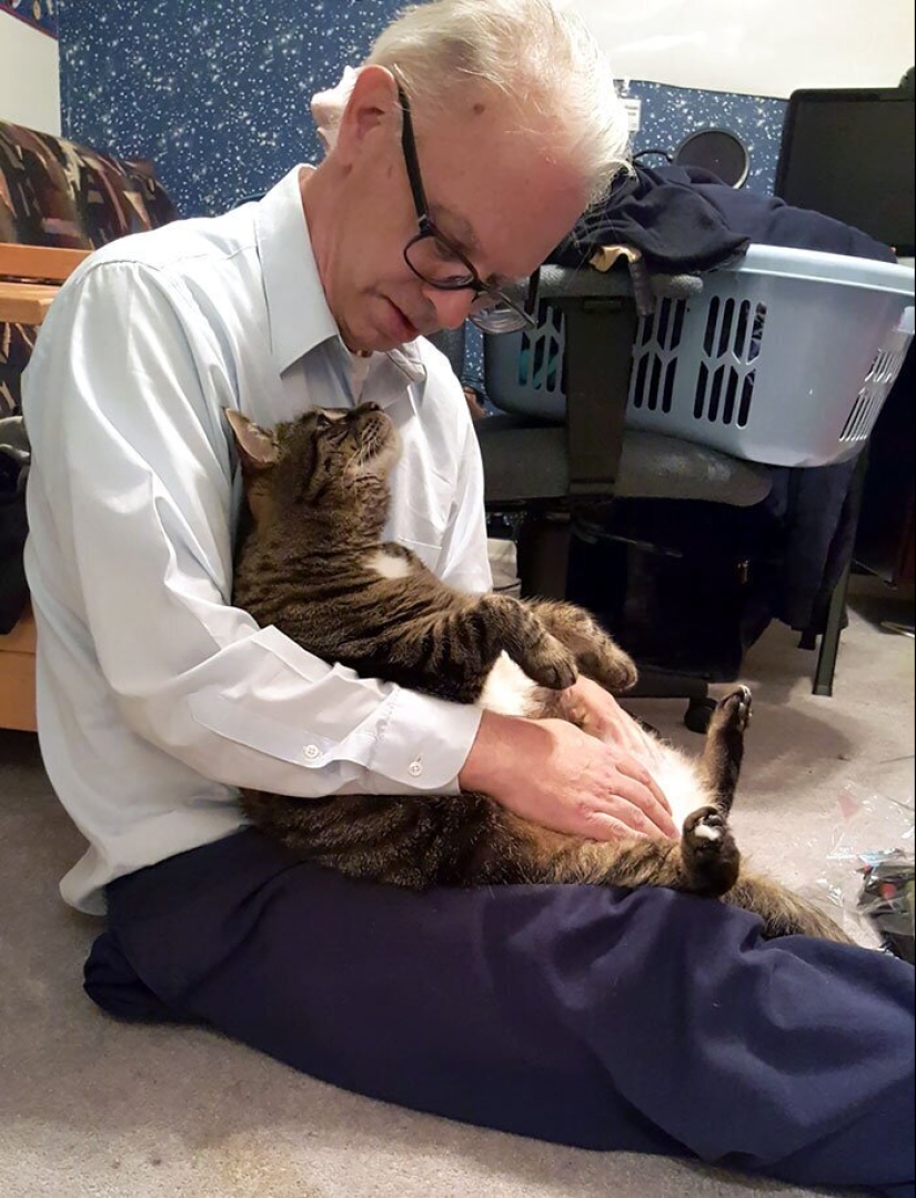40 dogs and cats whose eyes glow with love and adoration 40 dogs and cats whose eyes glow with love and adoration
