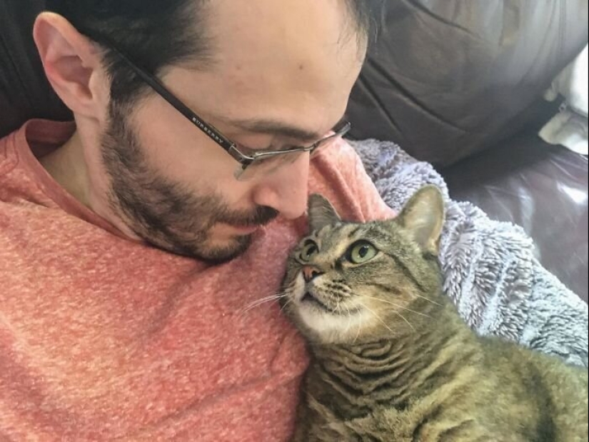 40 dogs and cats whose eyes glow with love and adoration 40 dogs and cats whose eyes glow with love and adoration