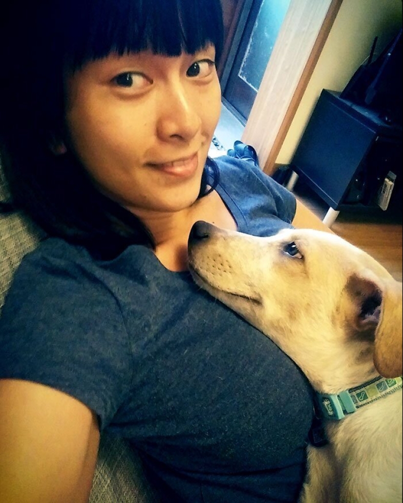 40 dogs and cats whose eyes glow with love and adoration 40 dogs and cats whose eyes glow with love and adoration