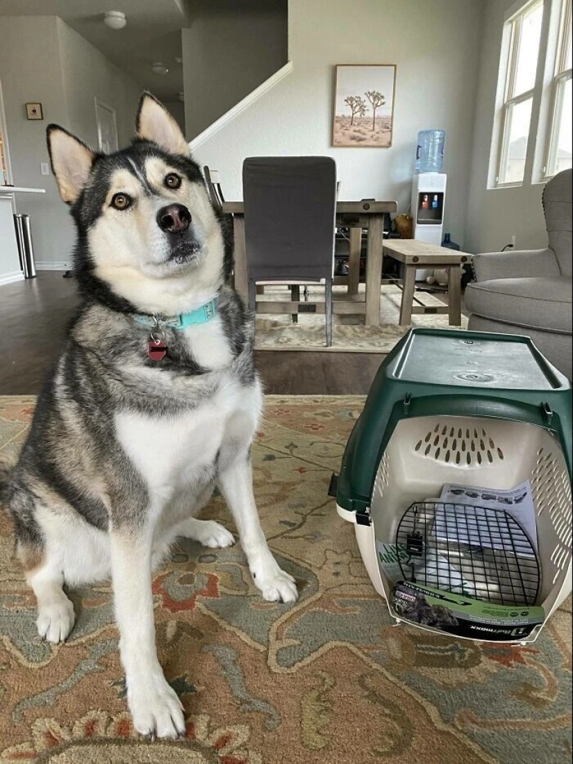 40 examples of how brazenly deceive customers on the Internet