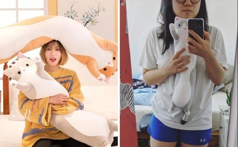 40 examples of how brazenly deceive customers on the Internet