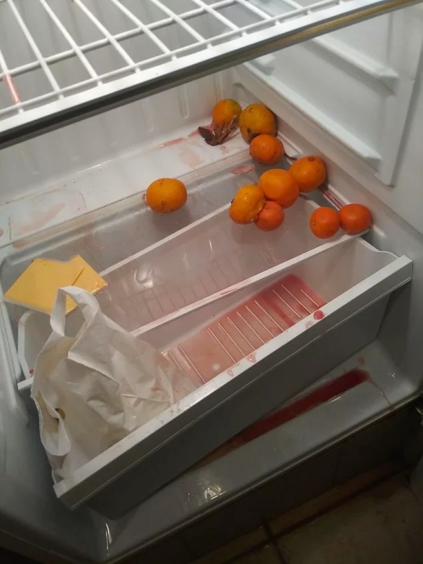 40 examples of terrible hotel guests and rented apartments 40 examples of terrible hotel guests and rented apartments