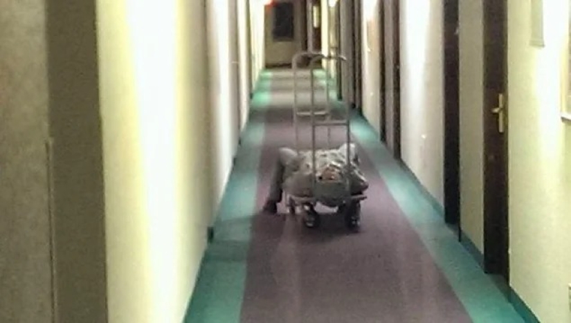 40 examples of terrible hotel guests and rented apartments 40 examples of terrible hotel guests and rented apartments
