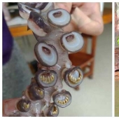 40 frightening photos from the community of scary Creepy lovers