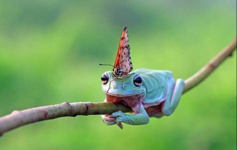 40 images to lift your mood 40 images to lift your mood