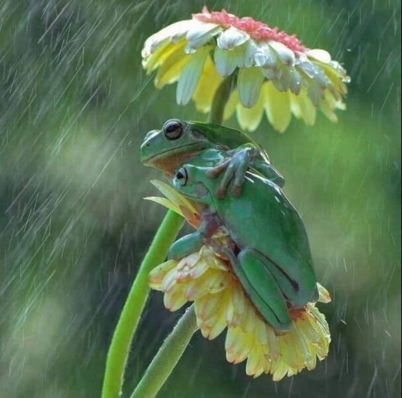 40 images to lift your mood 40 images to lift your mood