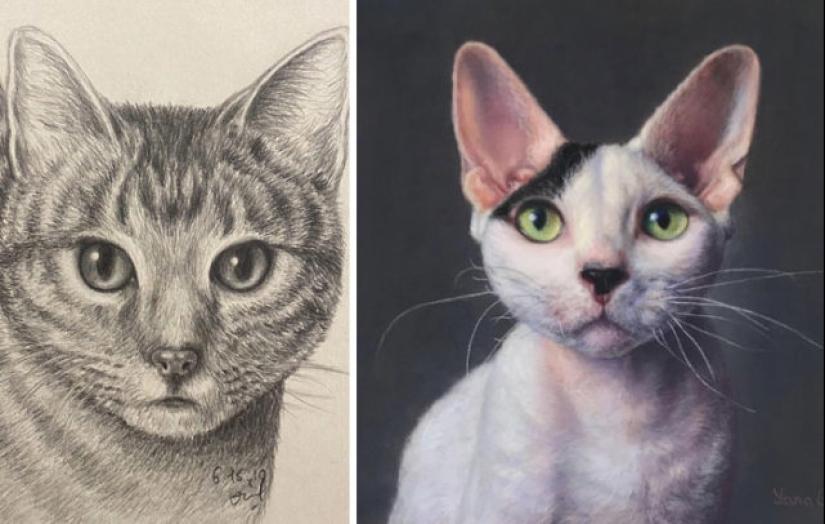 40 increíbles comparaciones: mirar con nuevos ojos familiar