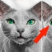 40 increíbles comparaciones: mirar con nuevos ojos familiar 40 increíbles comparaciones: mirar con nuevos ojos familiar