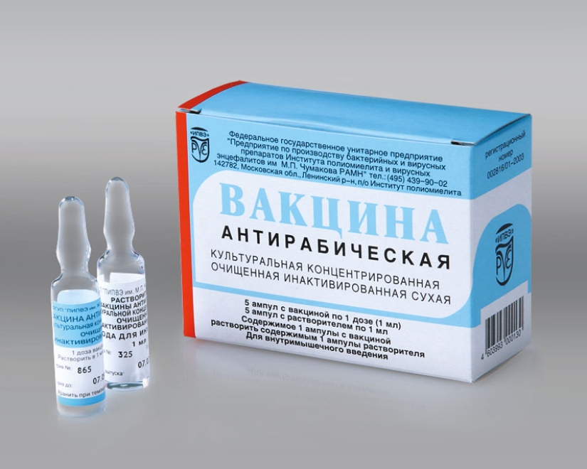 40 injections in the stomach, or the whole truth about rabies vaccinations 40 injections in the stomach, or the whole truth about rabies vaccinations