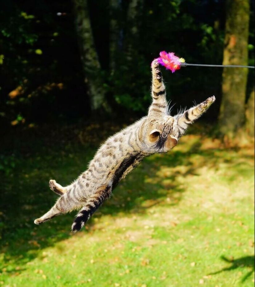 40 interesting and surprising facts from the Reddit community "Today I found out"