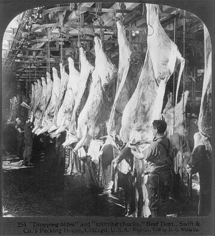 40 interesting and surprising facts from the Reddit community "Today I found out"