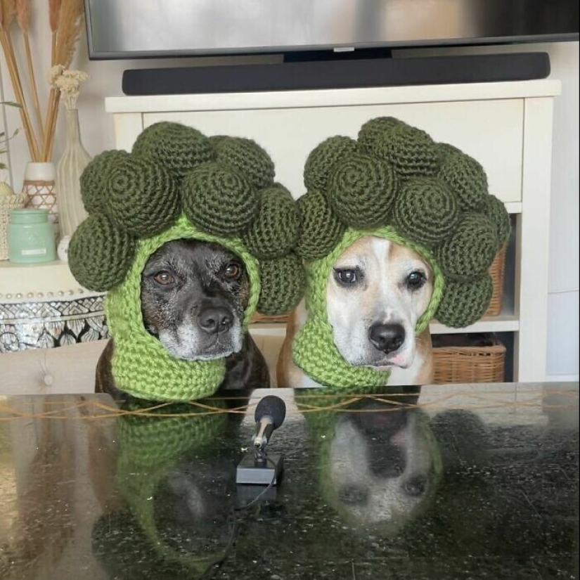 40 masterpieces from crochet lovers
