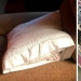 40 photos proving that cats can sleep anywhere 40 photos proving that cats can sleep anywhere