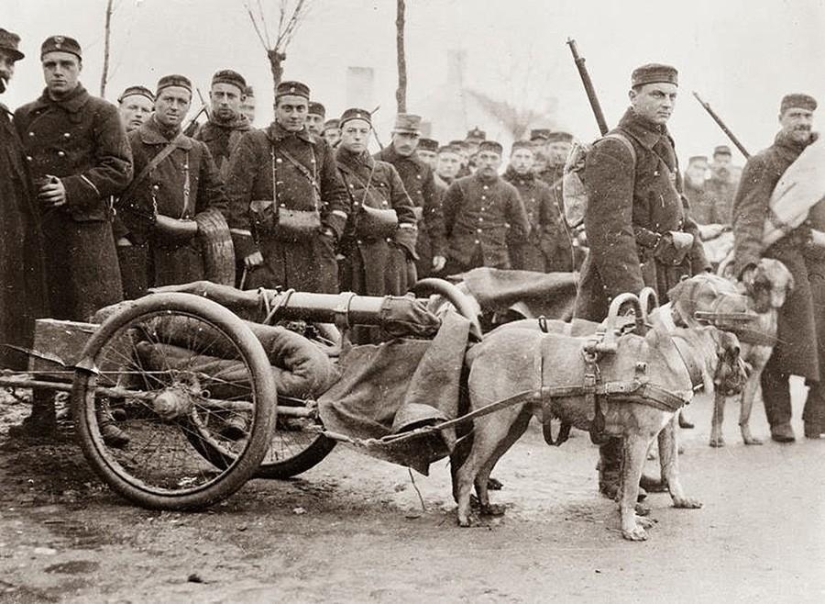 40 vintage photos showing how strange the world used to be