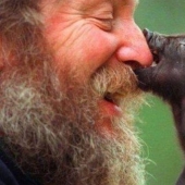 5 facts about vegans that you might not know 5 facts about vegans that you might not know