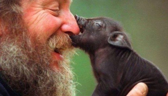 5 facts about vegans that you might not know