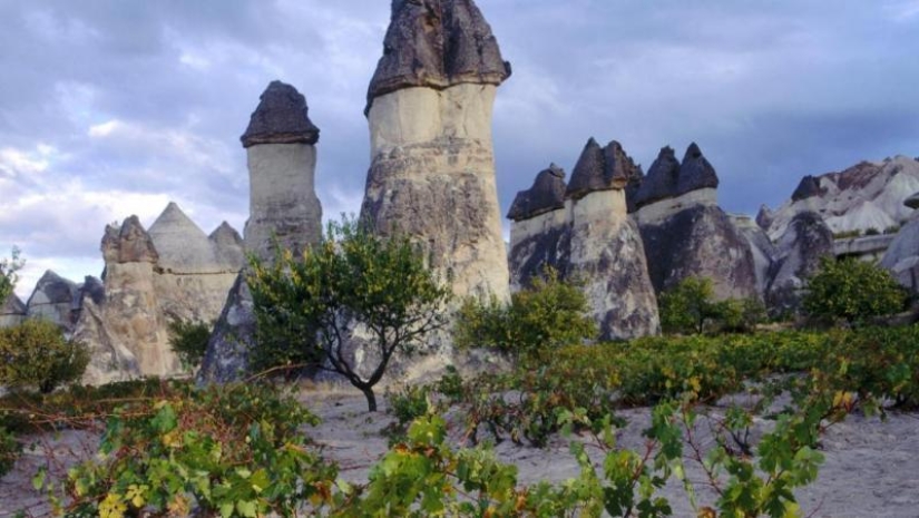5 formaciones naturales que parecen creaciones humanas