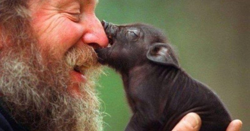 5 hechos sobre los veganos que tal vez no conozcas