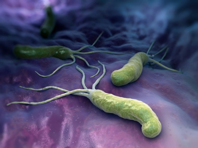 5 unexpected diseases that are transmitted through a kiss