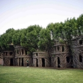 5 unusual structures in giant trees 5 unusual structures in giant trees