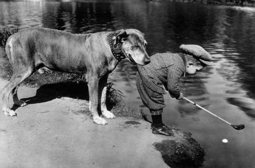 50 Amazing Historical Photos You&#39;ve Never Seen Before